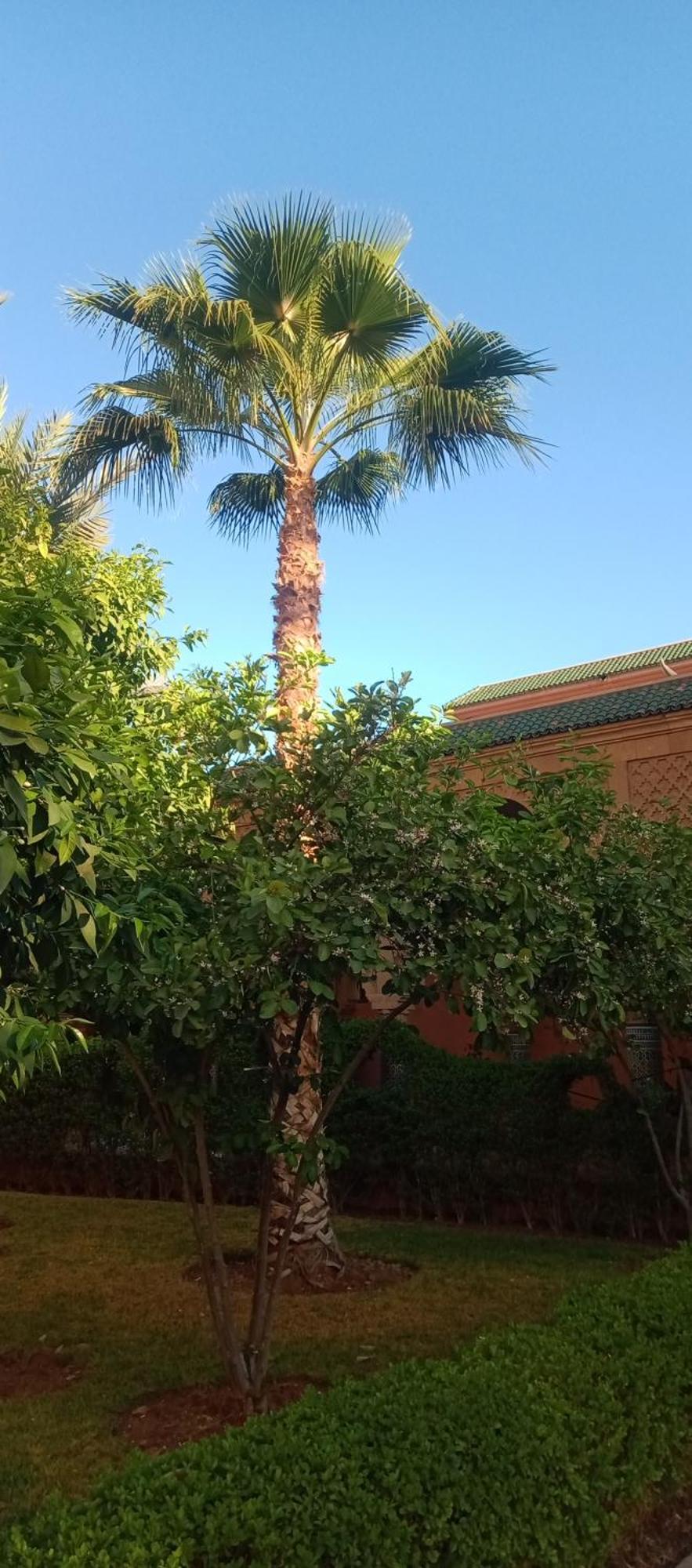 מרקש Riad Nour Resorts-Riad Nour Travel מראה חיצוני תמונה